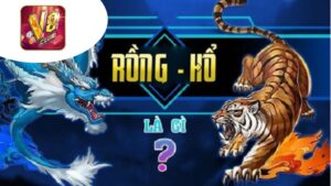 meo-danh-rong-ho